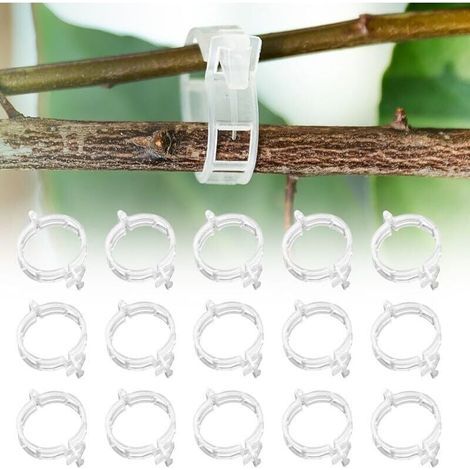 Tuteur Tomate 300 Pièces Support Plante grimpante tuteur Monstera Treillis Support pour Plantes grimpantes Clips de Support pour Plantes pour légumes PlantesTomates (300 pièces) (1/4)
