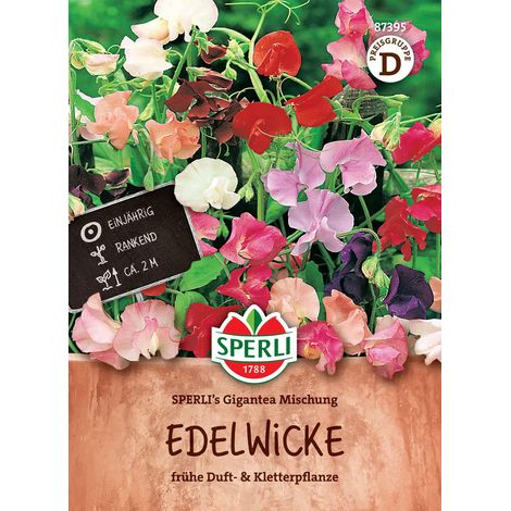 Edelwicken SPERLI's Gigantea Mischung - Blumensamen (1/2)