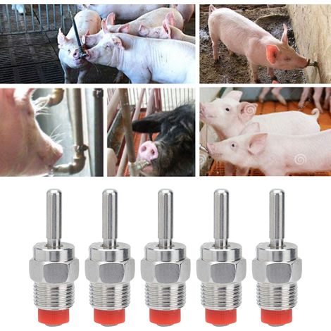 Abreuvoir automatique à tétine en acier inoxydable épaissi G1/2 à filetage extérieur pour porcelets. (1/5)