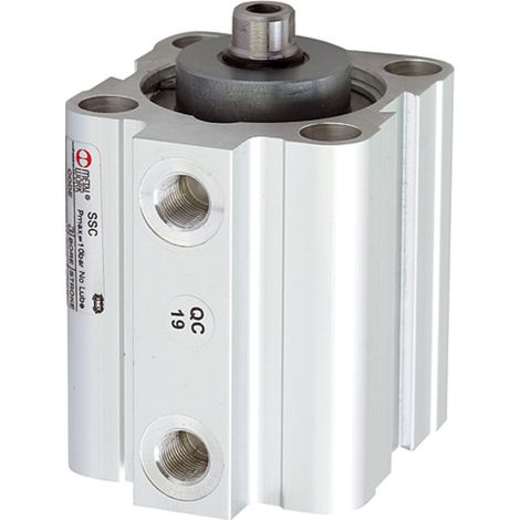 [NEUWERTIG] Riegler Kurzhubzylinder Doppeltwirkend Magnetzylinder Kolben 63mm Hub 70mm G18 B-Ware (1/2)