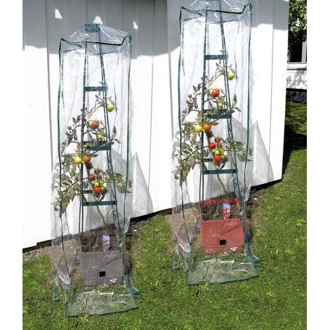 Support pour plantes grimpantes MAXITOM, couleur terre cuite, 1 pièce Bio Green (1/5)
