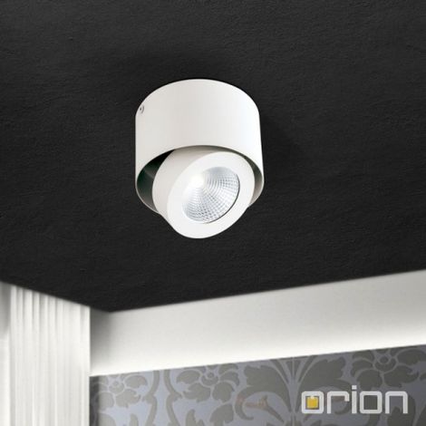 [NEUWERTIG] B-Ware Orion Schwenkbarer Led Aufbauspot Deckenlampe Deckenlampe Meno Weiß Dimmbar