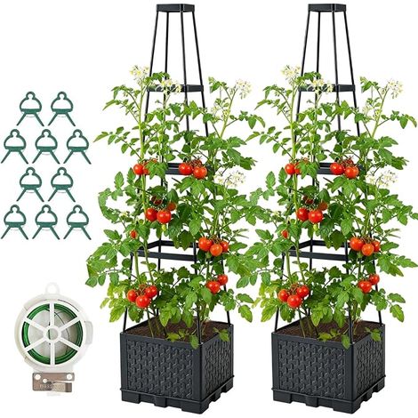 Lot de 2 pots à tomates avec tuteur - 145 cm - Avec pot pour plantes grimpantes - Tour à tomates à 4 niveaux - Pour tomates, fleurs et plantes grimpantes (1/4)