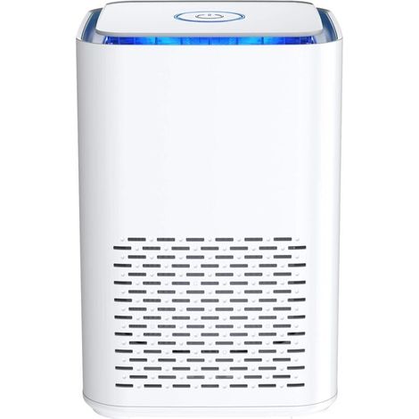 Air Purifier for Home, True HEPA Air Filter for Bedroom, Office, Odor Eliminator for Allergies and Pets, Smoke, Dust, Mold, Quiet Night Light