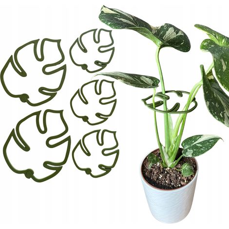 Supporto per piante e fiori, robusto supporto per Monstera con morsetto di fissaggio, taglia S/M, 5 pezzi. (1/5)