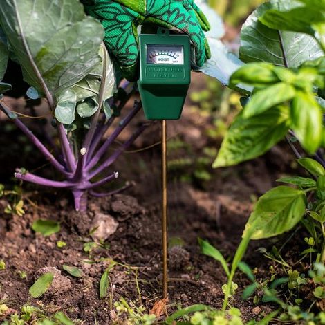 Medidor de agua para plantas de interior (2 unidades)，Sensor higrómetro para análisis de suelo，Regalos de jardinería