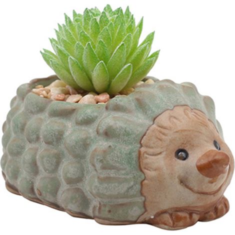 Pot À Plantes Succulentes - Pot En Céramique Forme De Tortue - Pour Intérieur Extérieur - Lot De 1 (1/5)