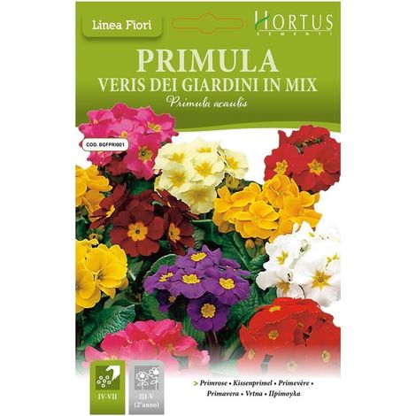 Primula veris Dei giardini mix DB