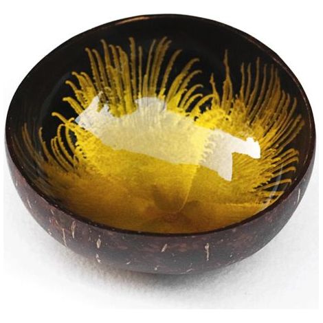 1 pièce Bol en coquille de noix de coco, motif plume peint à la main, bol décoratif naturel, 12-14 cm, pour intérieur et rangement (1/2)
