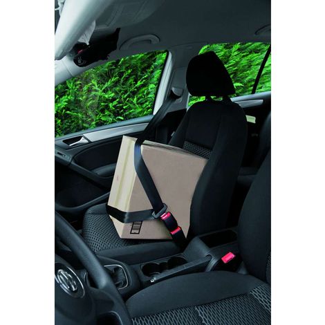 Clip estensione cintura di sicurezza per auto 2 in 1 (1/7)