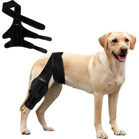 Genouillère pour chien - Noir - Protection du coude - Protection articulaire