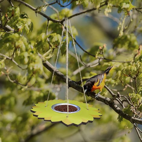 Hanging Bird Feeder Stainless Steel Tray Wild Bird Feeder For Attracting Cockatoo Birds Outdoor Bird (1/5)