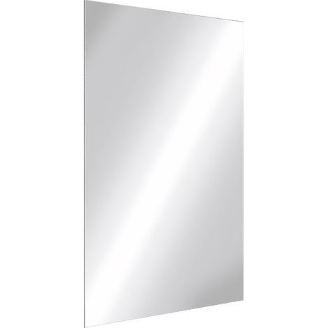 Delabie - Miroir rectangulaire Inox autocollant H. 600 x 400 mm (1/3)