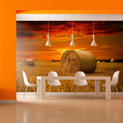 Papier peint champions - 350 x 270 cm (1/4)