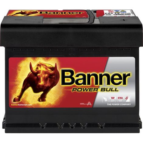 Batterie voiture 12V 62Ah 550A – P6219 – Technologie plomb-calcium – Compatible voitures, camionnettes et bateaux – Banner