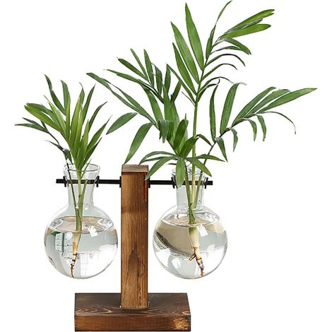 Pour Pots de fleurs vintage en verre avec cadre en bois (1/5)
