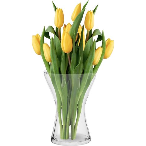 Vase Décoratif en Verre pour Fleurs - 19 cm Hauteur, Aster, 1325 ML (1/5)