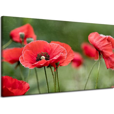Stampa su tela Botanica Papaveri Rossi 120x70 cm Fiori Flora