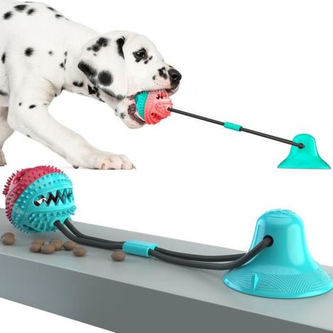 1 jouet pour chien, molar bite avec ventouse, corde robuste en TPR naturel, indestructible, pour chiens actifs et joueurs (1/4)