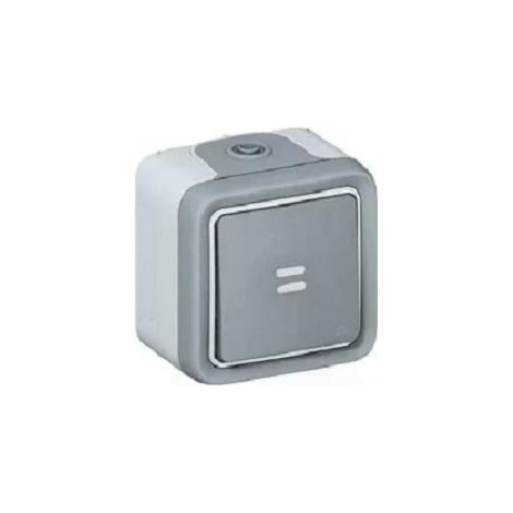 Legrand 069713 - Prog Plexo luminous two-way switch complete gray surface - 10 AX