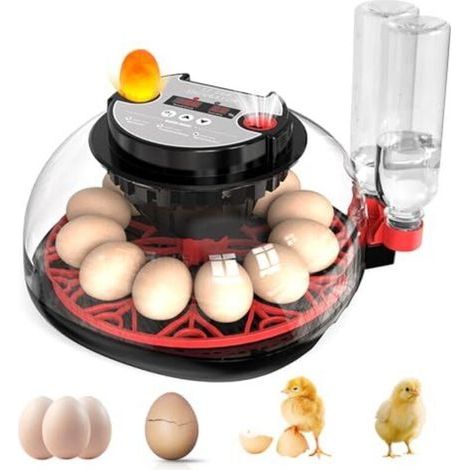 Fully automatic 12-egg egg incubator with water supply, automatic egg turner, and temperature and humidity control incubator, hatching machine for chickens, etc. (1/4)