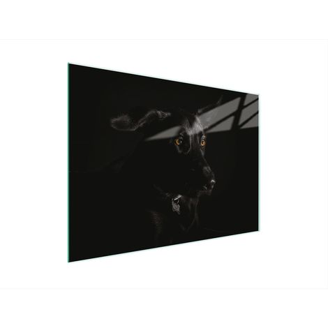 Glasschneidebrett 30x22 Hund (1/5)