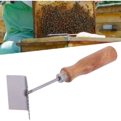 Pelle à Cadres pour Ruche [3mm Épaisseur] avec Manche Bois et Tête Inox [21,5cm] Légère pour Apiculture Professionnelle (1/5)