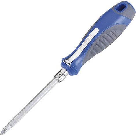 DESTORN. INTERCAMB. PH2 PLANA 6MM 63 MM (1/2)