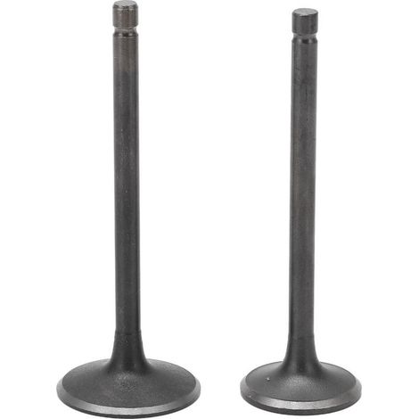 Kit de soupape d'admission d'échappement noir, ensemble de remplacement pour XG250 TRICKER 2004 – 2017 (1/5)