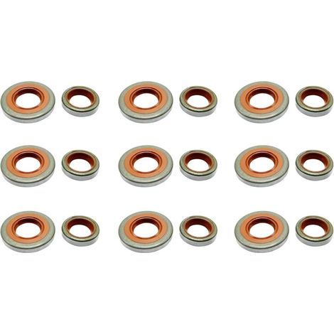 C·T·S Lot de 9 joints d'huile pour Stihl 046 MS460 MS461 remplace 9640-003-1355 9640-003-1600 (1/5)