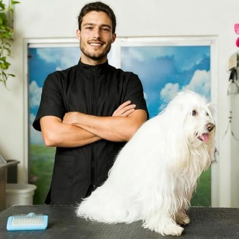 Tablier de toilettage imperméable pour animaux domestiques, esthéticienne, uniforme de bain, pour la maison ou l'extérieur, noir, taille M (1/5)