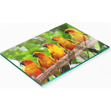 Tablero decorativo multifuncional para cocina, fabricado en madera endurecida con forma de rama de loro, 80x52 cm. (1/5)