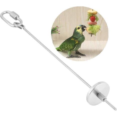 Brochette pour perroquet, support en acier inoxydable pour fruits, légumes et viande, jouet de recherche de nourriture pour petits animaux, outil de friandises pour perroquets [L] (1/5)