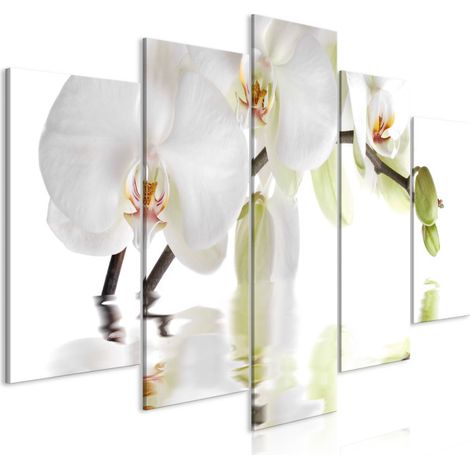 Tableau Imprimé 5 Panneaux "Wonderful Orchid Wide" 50 x 100 cm (1/2)