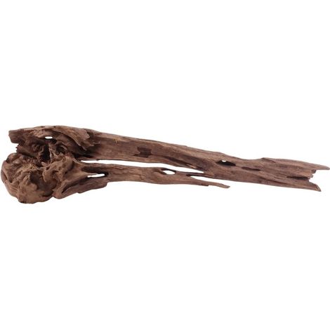 L Honey Comb Wurzel Nr.5125 Holz Deko Aquascaping