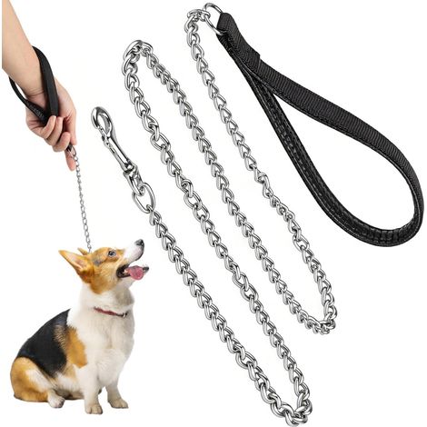 Laisse en MéTal pour Chien Robuste 120cm Chaîne de Laisse pour Animal (1/5)