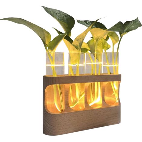 Glaspflanzen Terrarium Dekoration verstellbare LED
