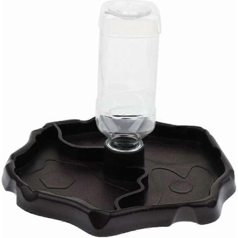 Distributeur d'eau portable de type café avec abreuvoir en plastique pour reptiles, tortues et geckos (1/5)