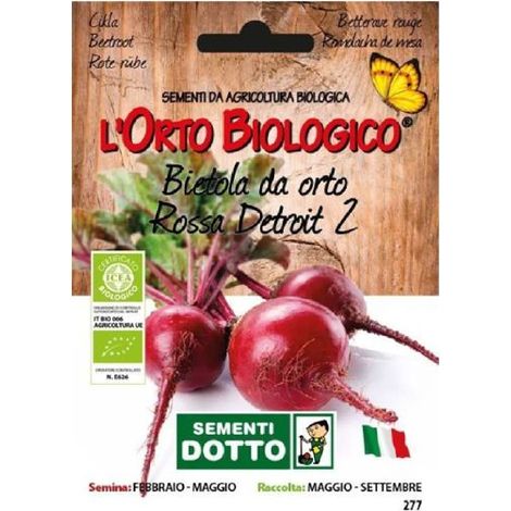 SEMENTI EXTRABARBABIETOLA DETROIT 2