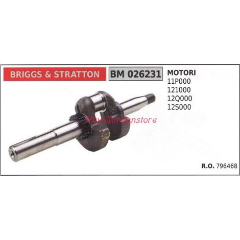 BRIGGS&STRATTON Motorkurbelwelle Rasenmähermotor 11P000 026231