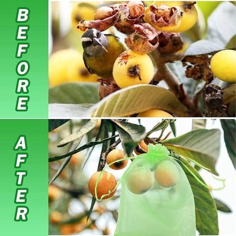 100 pièces - Sachets de protection pour fruits - 15 x 20 cm - Sachets réutilisables en filet pour fruits - Vert fruit - Organza - Sachets en filet de jardin avec cordon de serrage - Sachet de protecti