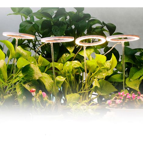 Lampe horticole LED / Lampe horticole avec anneau LED / Lampe de croissance pour plantes-AquaForge (1/4)