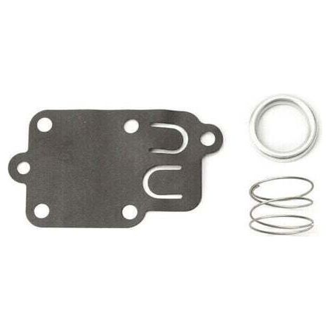 Membrane carburateur Briggs et Stratton (1/4)