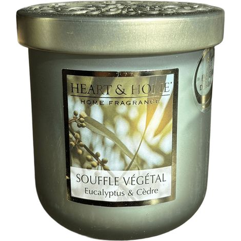 Petite bougie parfumée Souffle végétal 110 g (1/3)