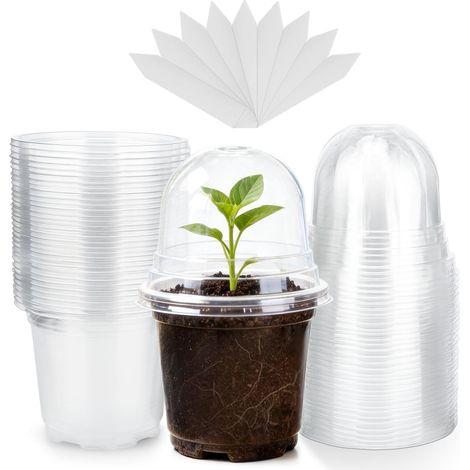 10 cm Plant Pot, 12 Plastic Flower Pots, Repotting Pots with Transparent Lid and 10 x Plant Labels, Planting Bucket – Transparent (1/5)