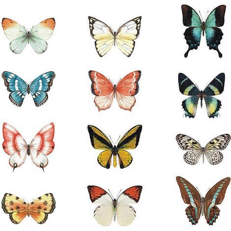 Lot de 12 autocollants statiques amovibles pour fenêtre, motif oiseau d'alerte-10X7.1X0.1CM (1/3)