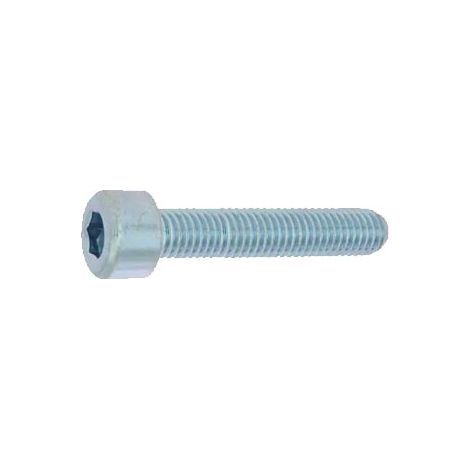Vis Metaux CHC Din 912 Ac Zg Bl 8.8 6X30 Bte 200 Viswood