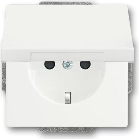 Busch-Jaeger 20 EUKB-884 SCHUKO® Steckdosen-Einsatz mit Klappdeckel und int. erh. Berührungsschutz (1/2)