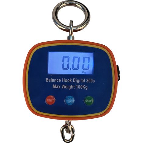 Balance numérique portable à crochet avec écran LCD, mini-balance suspendue, poids maximal 100 kg (220 lb), 90-240 V (1/5)