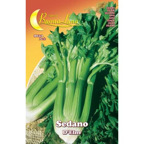 SEMI ORTO SEDANO DELNE HORTUS SEMENTI PZ 10,0